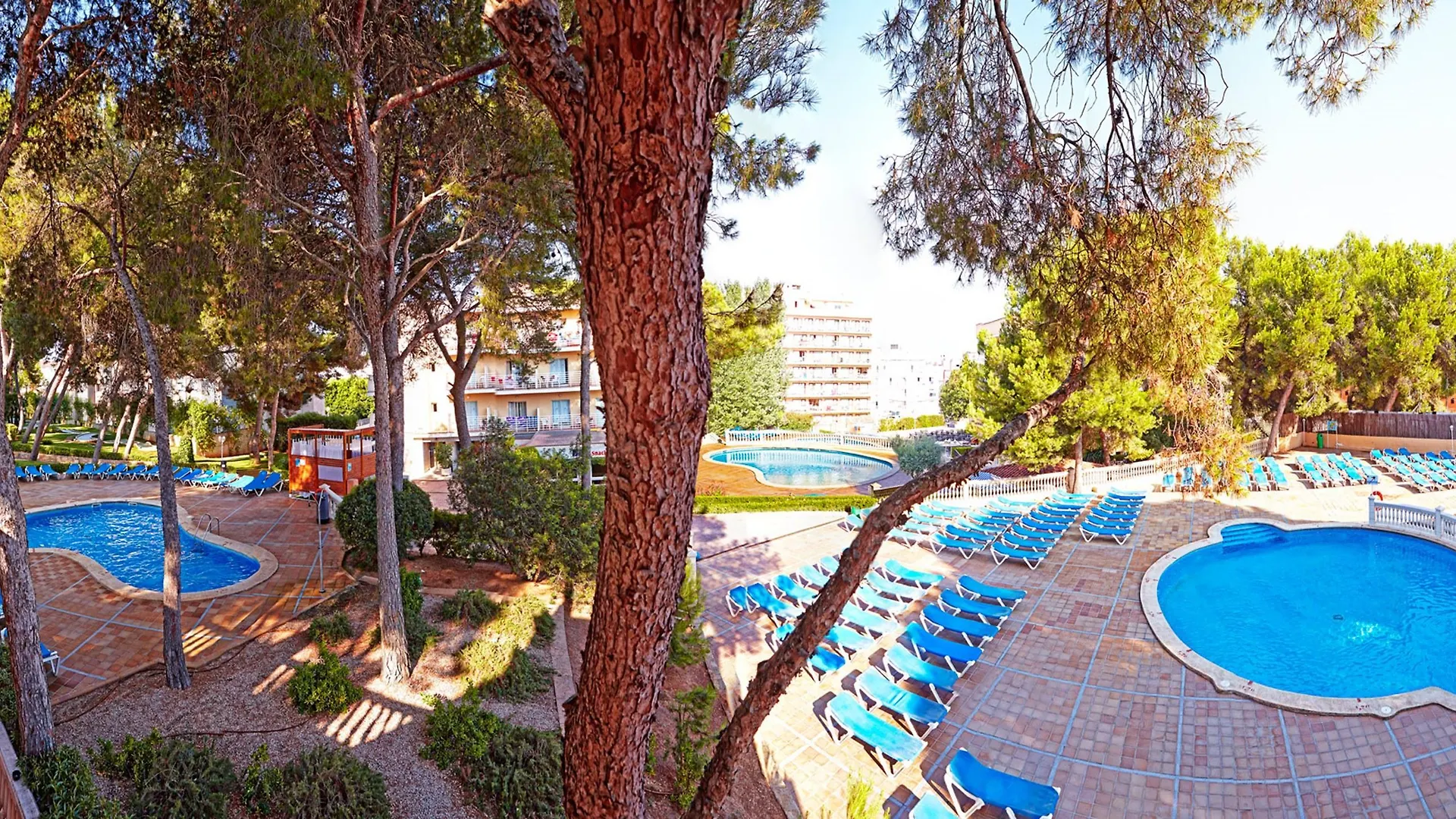 ***  Mll Palma Bay Club Resort إل أرينال إسبانيا