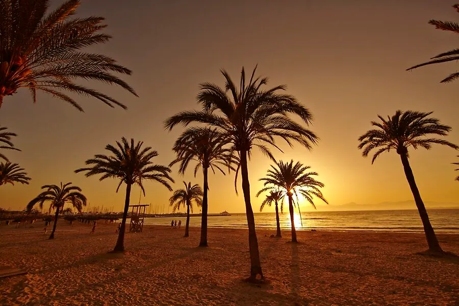 Mll Palma Bay Club Resort إل أرينال